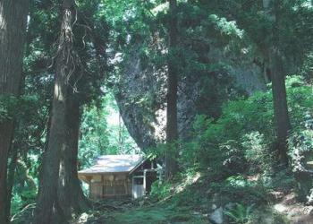 恐竜渓谷ふくい勝山ジオパークの写真1