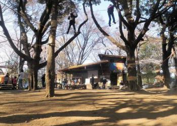 羽根木プレーパークの写真1