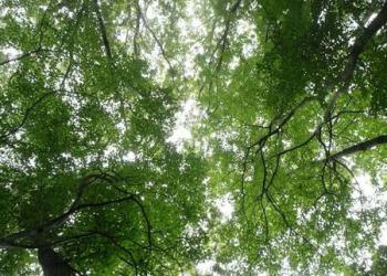 さいたま緑のトラスト2号地の写真1