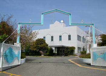 大阪府立環境農林水産総合研究所水産技術センターの写真1