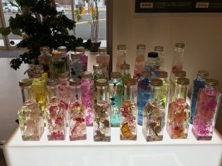 白坂花店の写真1