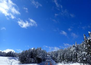 新保ファミリースキー場の写真1