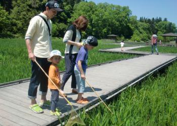 柏崎・夢の森公園の写真1