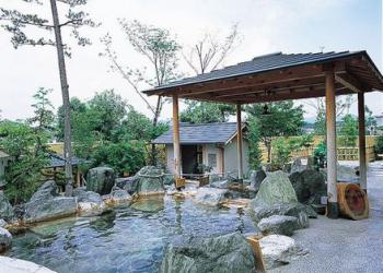 天然温泉 虹の湯　西大和店)の写真1
