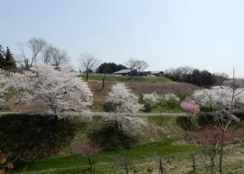 谷津の里の写真1