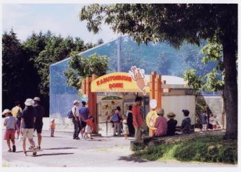 むつみ昆虫王国の写真1