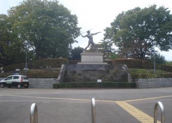 葛飾区奥戸総合スポーツセンター体育館の写真1