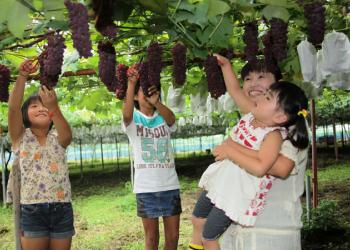 小倉ぶどう郷の写真1