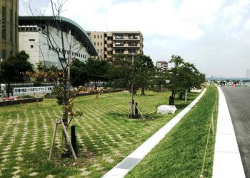 江戸川妙典河川敷スーパー堤防自由広場の写真1