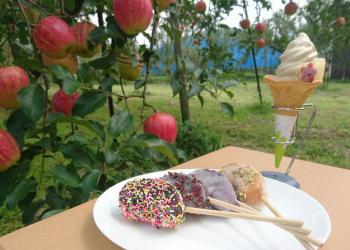 友清りんご園の写真1