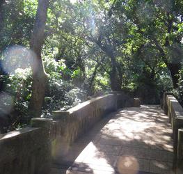 那覇市立　森の家　みんみんの写真1