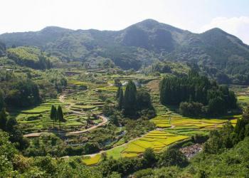 田舎の体験交流館 さんがうらの写真1