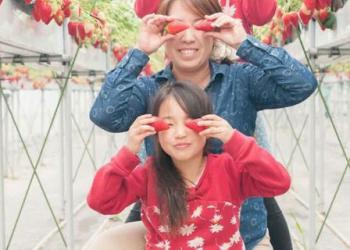 T-BERRY-FARMの写真1