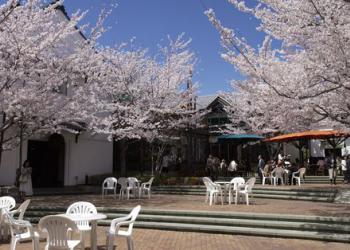 善光寺外苑西之門の写真1