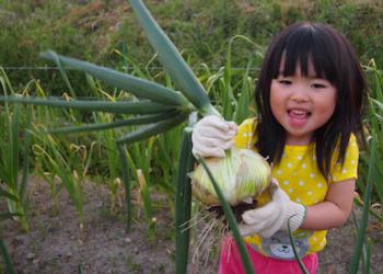 草津農園の写真1