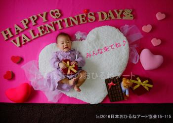 ほたる姉妹のおひるねアートの写真1