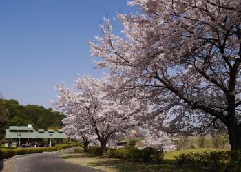 宮山ふるさとふれあい公園の写真1