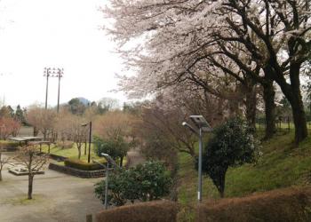 津久井又野公園の写真1