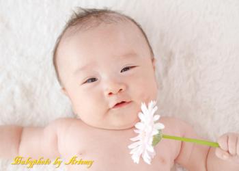 RTA指定スクール Artemyの写真1