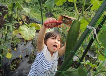 シェアファーム出戸駅前の写真1