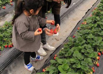 フルーツファーム　樹蘭の写真1