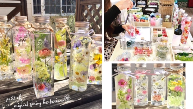 petit　efの写真1