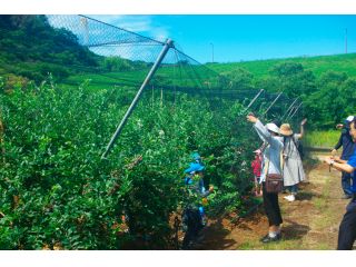 南四国ファームの写真1