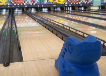 アイビーボウル向島の写真1