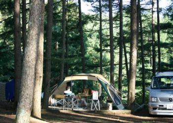 WOODPECKERの写真1