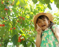 小野洋らん果樹園の写真1