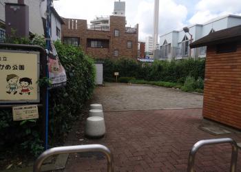 氷川つるかめ公園の写真1