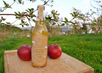 篠根果樹園の写真1