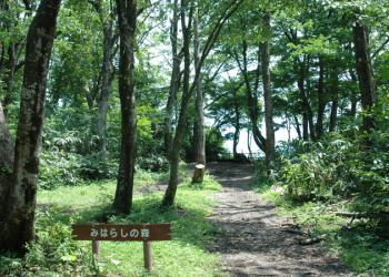 国立立山青少年自然の家の写真1
