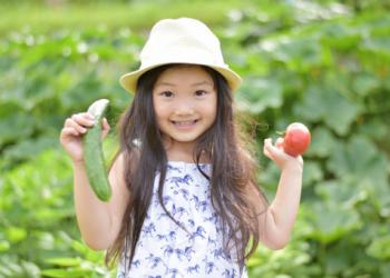 八街ふれ愛オーガニックファームの写真1