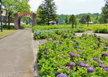 東山総合運動公園の写真1