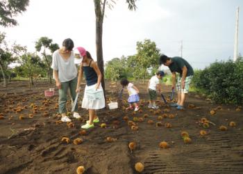 吉田栗園の写真1