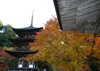 湖東三山西明寺の写真1