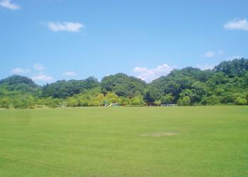 ふれあいパーク・緑の丘の写真1