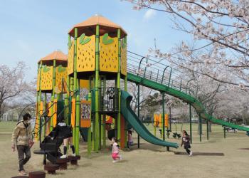 二ツ沼総合公園の写真1