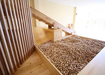 木育広場の写真1