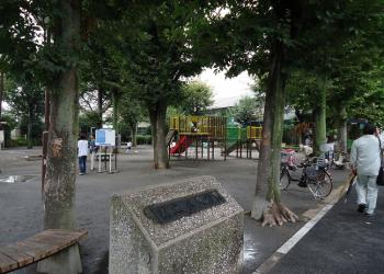 奥沢公園の写真1