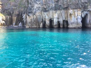 Diving　shop　SeaLand　うぐるの写真1