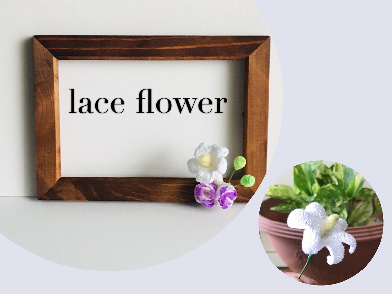 cocotte-cocoの写真1