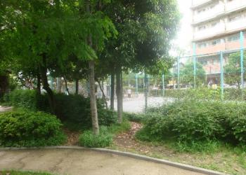 小関公園の写真1