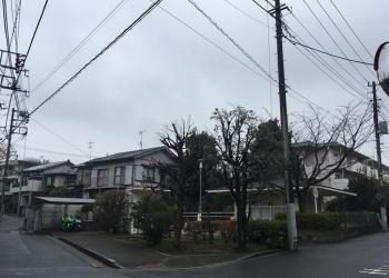 早宮一丁目児童遊園の写真1