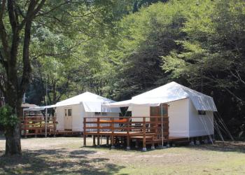 癒しの森の写真1