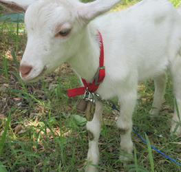 青海市民センターの写真1