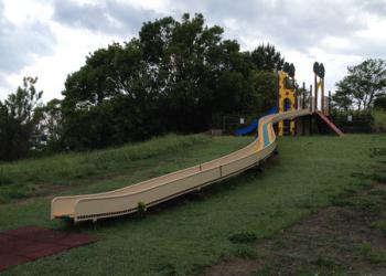 中央公園の写真1