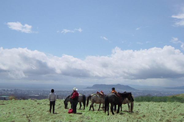 函館どさんこファームの写真1