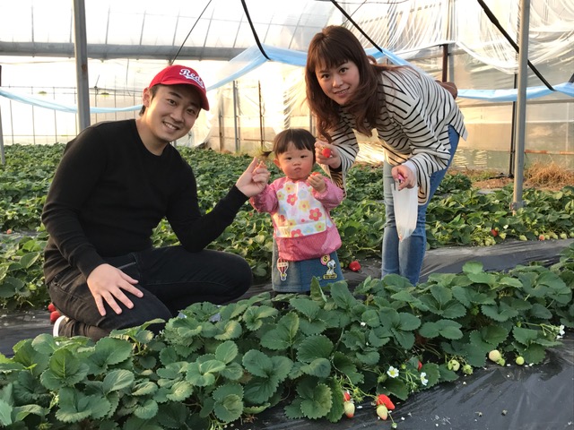 広川いちご園の写真1